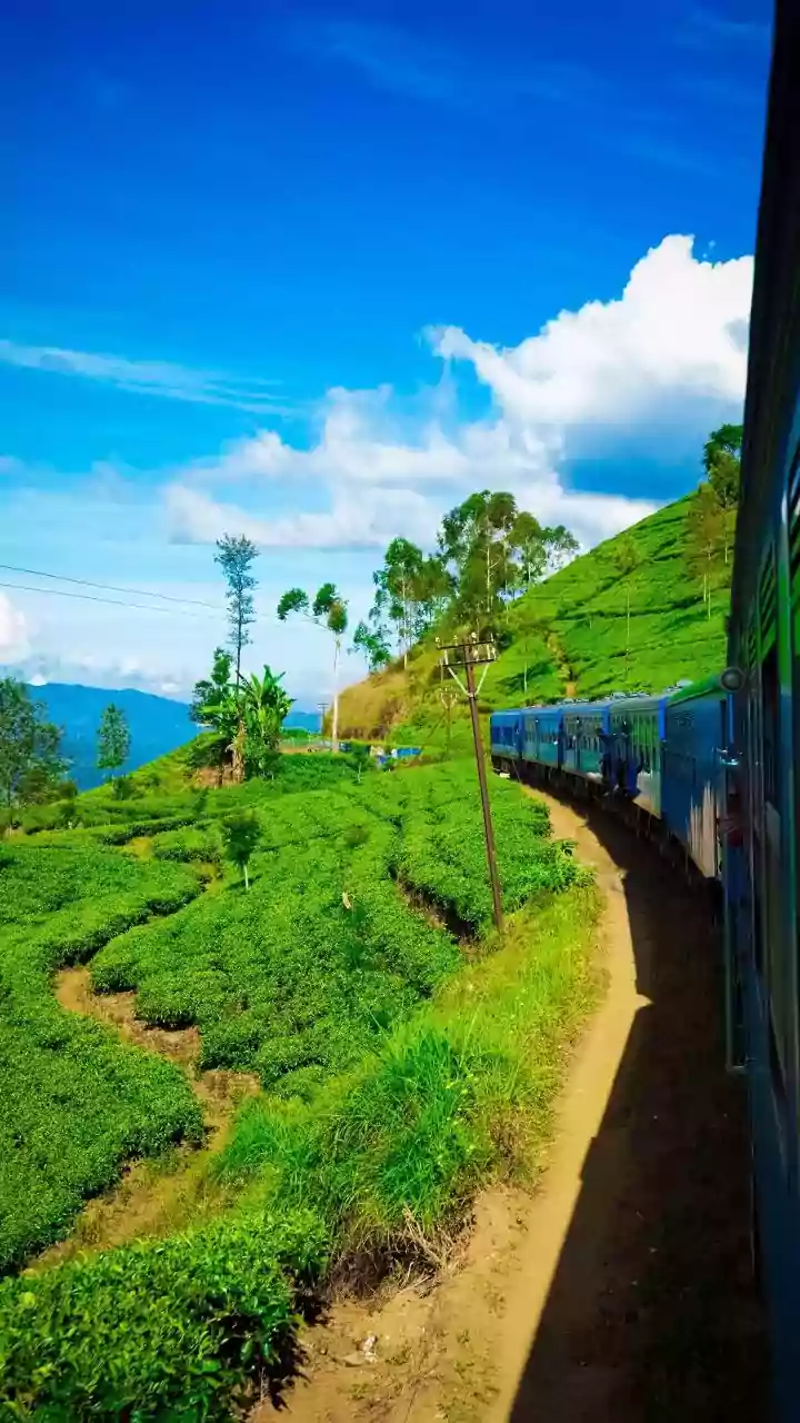 5 Majestic Train Journeys in India: A Slow Travel Guide