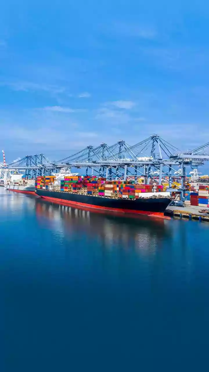 India-New Zealand Conclude FTA: Duty-Free Access To 54.11% Kiwi Exports From Day One