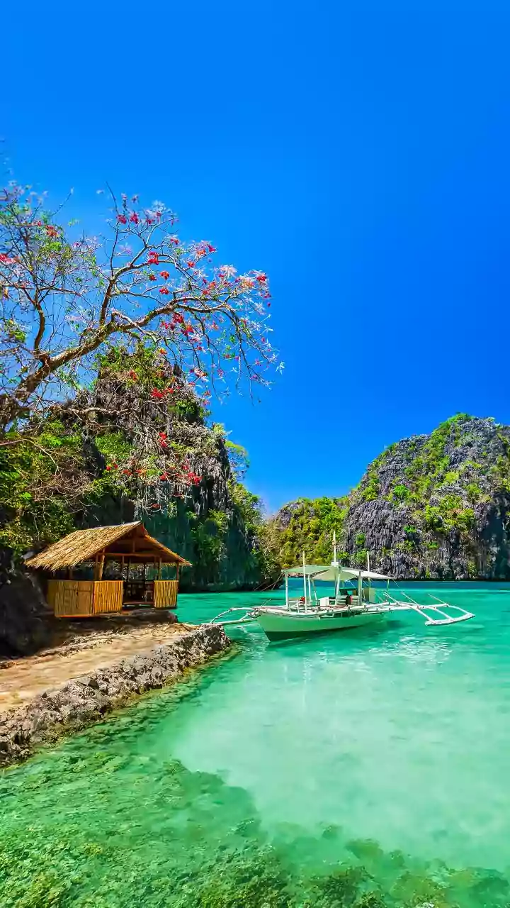 Next-Gen Family Travel: Why the Philippines is 2026's Ultimate Playground