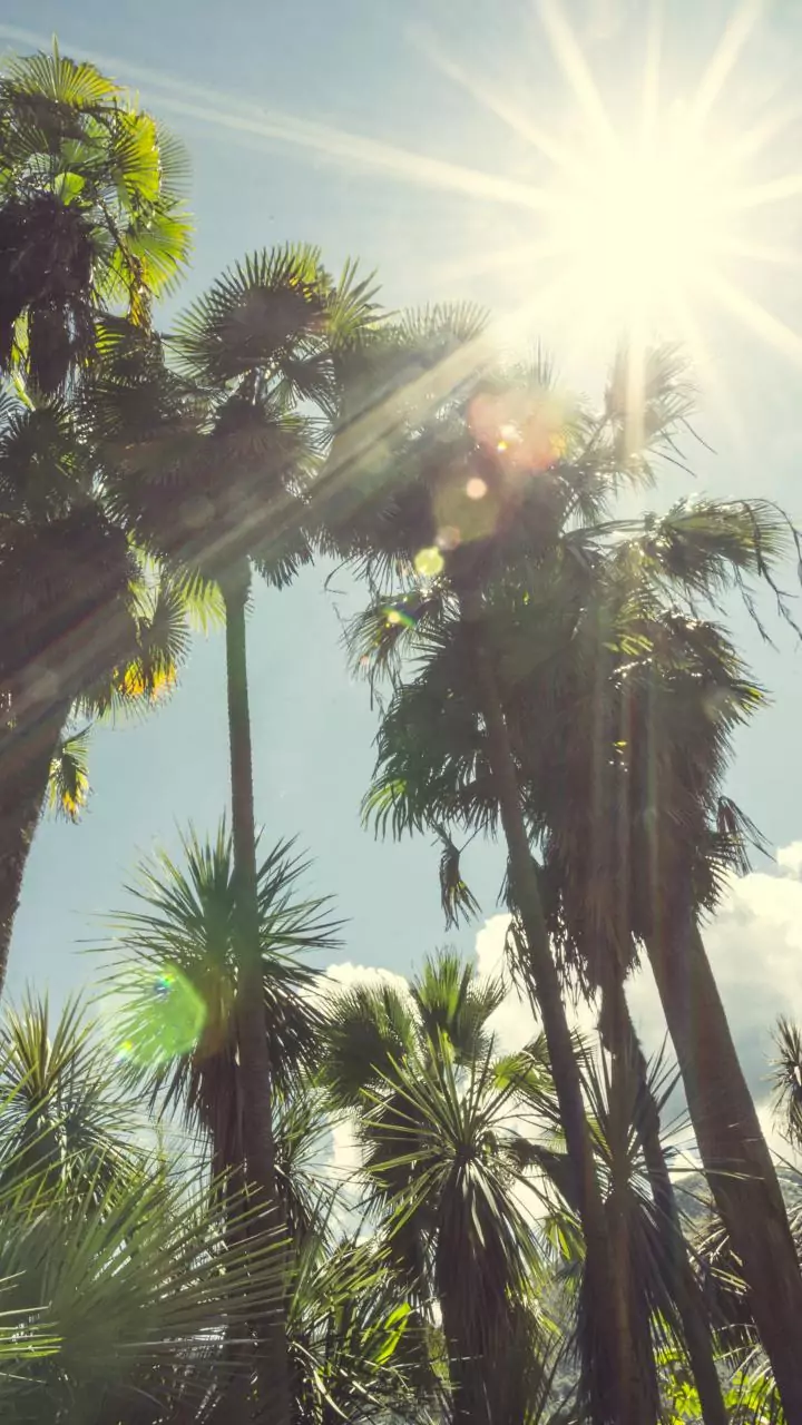 Pune just had its warmest January start in 10 years