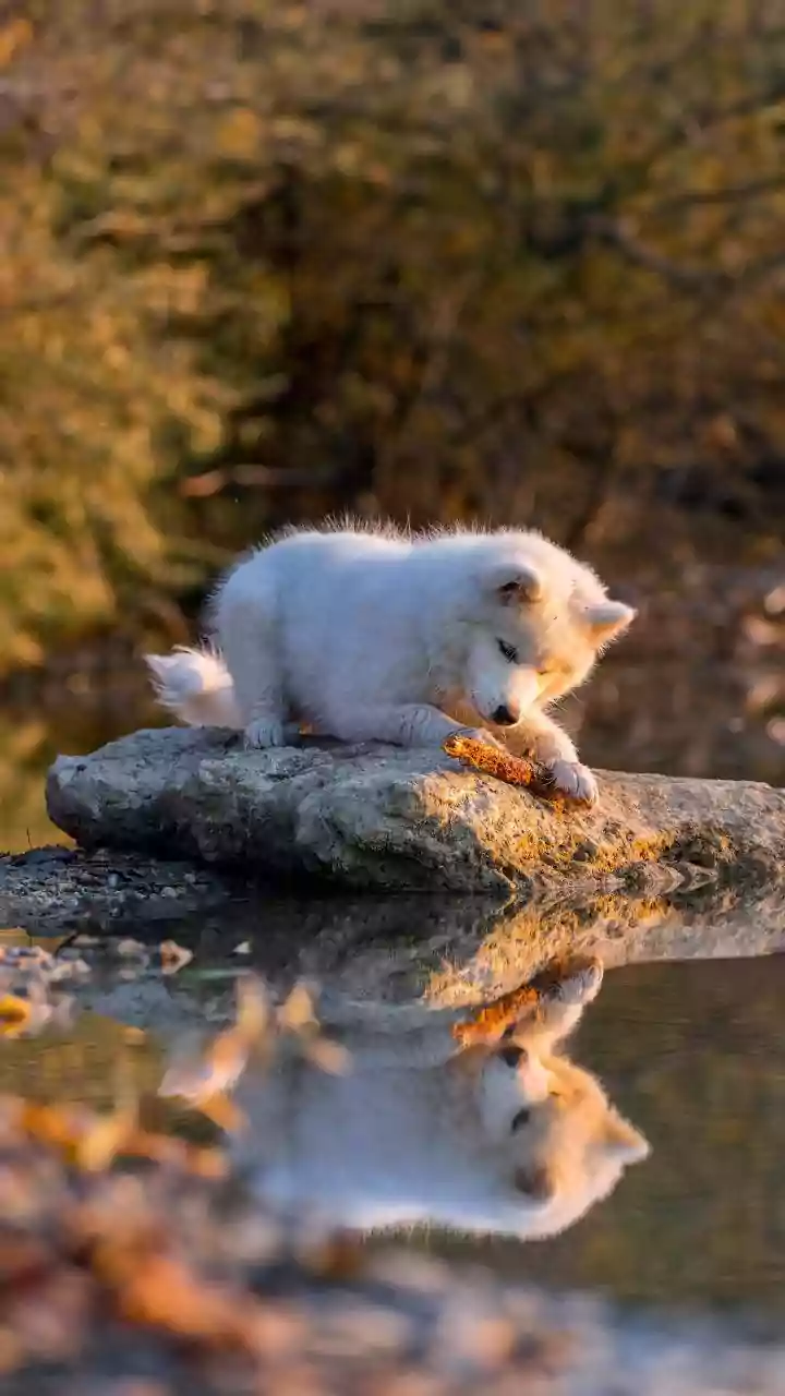 Related Stories banner