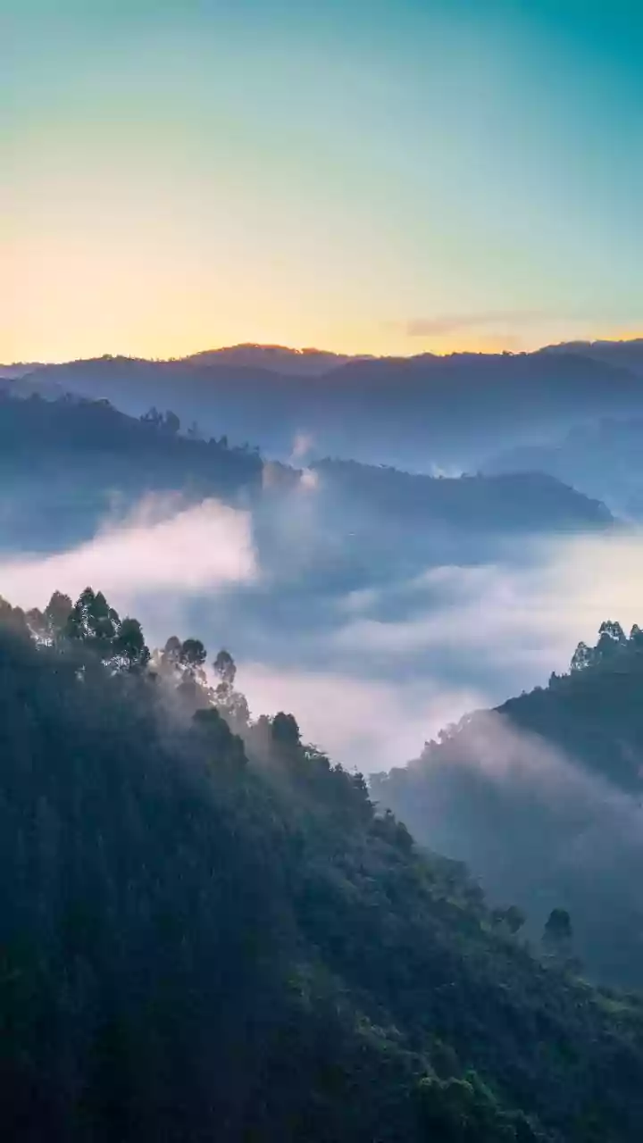 Bengaluru's December chill: 8.5°C mornings and heavy fog