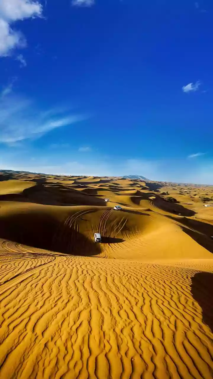 Gujarat To Get A First-Of-Its-Kind Desert-Themed Drive-Through Safari