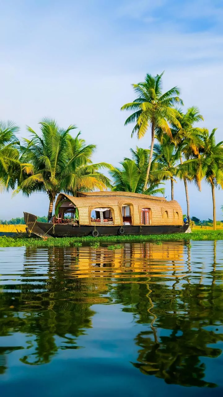 Kerala's School Syllabus to Shrink by 25% Next Year