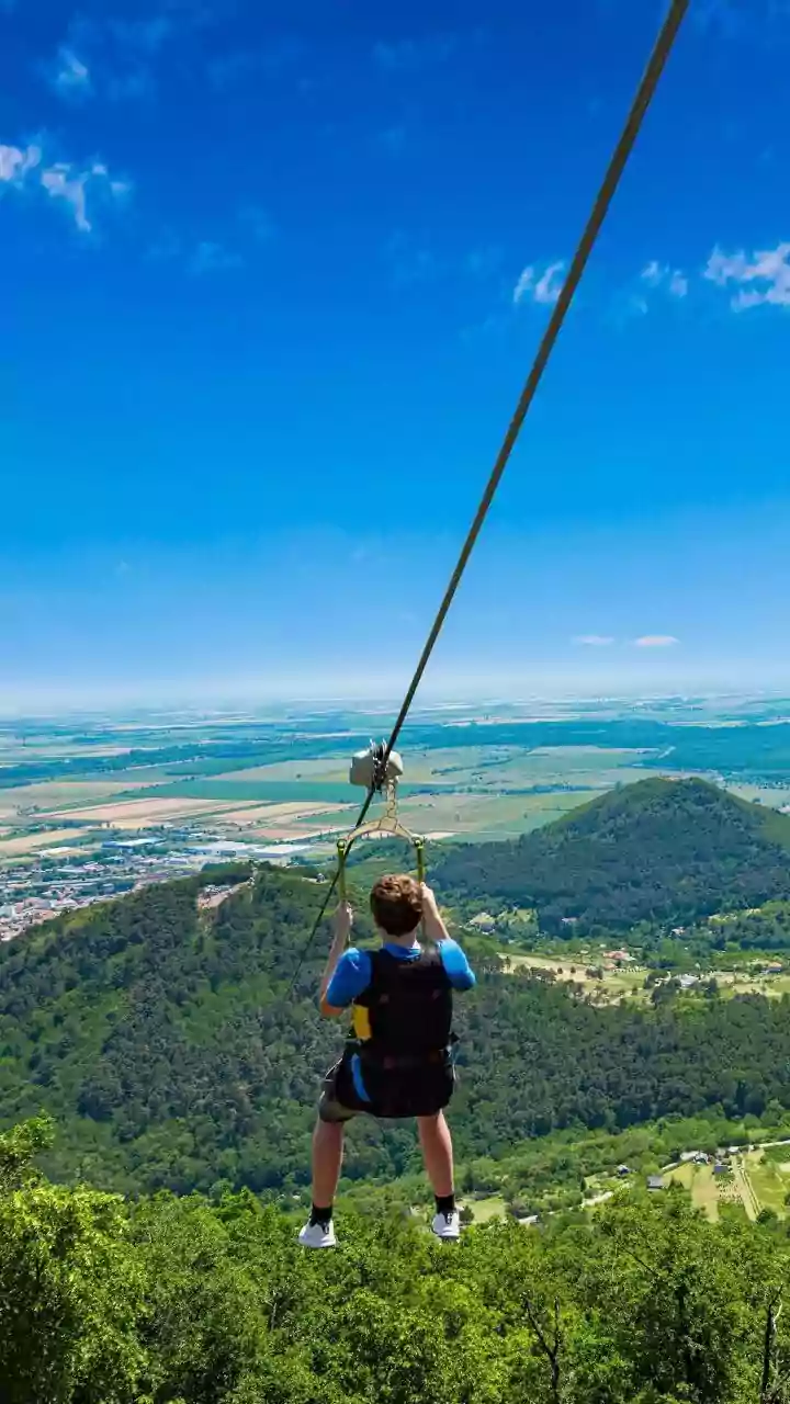 Why Everyone's Trying Forest Ziplining Again