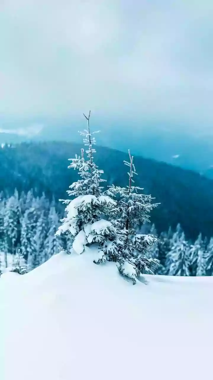 Snow Moon & Relationships: February's Emotional Rollercoaster