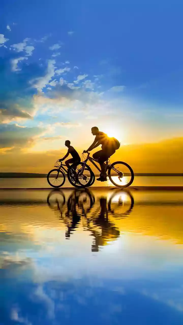 Walking Versus Cycling Is Really A Question Of Access, Comfort And Consistency
