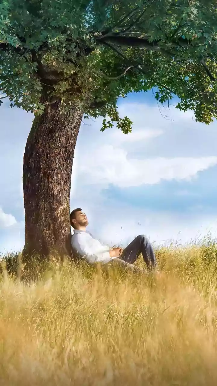 Beyond the Bank Balance: Science Explains Why More Money Doesn't Always Mean More Joy