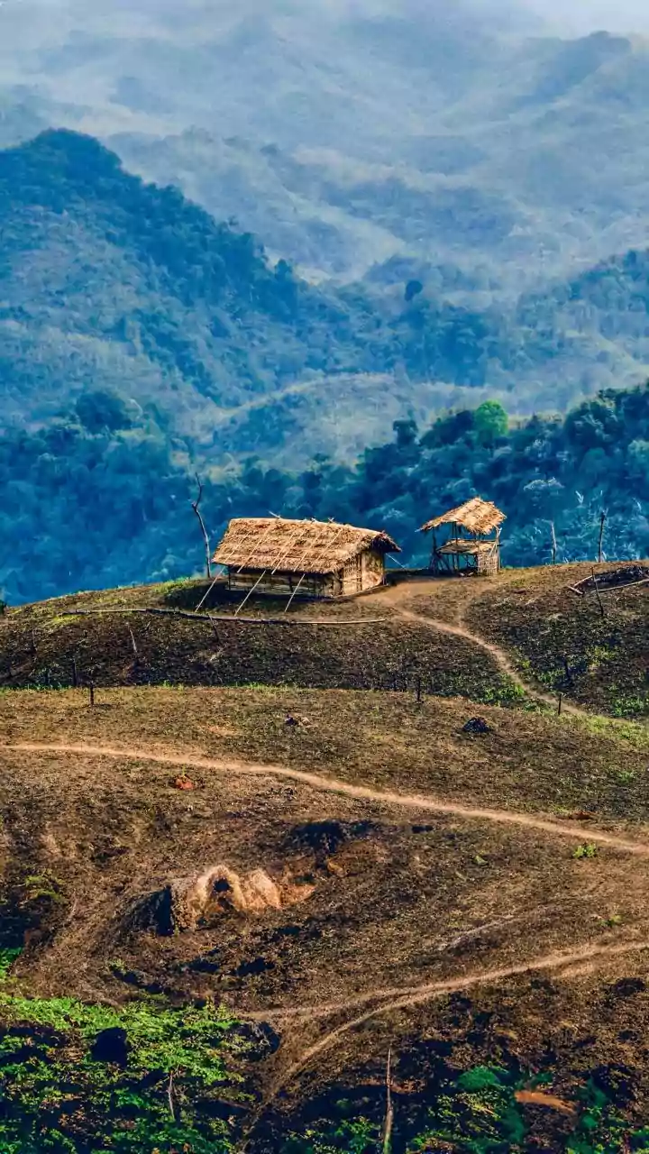 Manipur HC steps in to block viral murder video