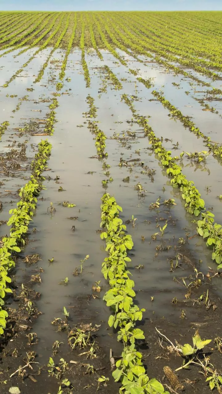 Understanding Flood Risks in Nepal and Impacts on India