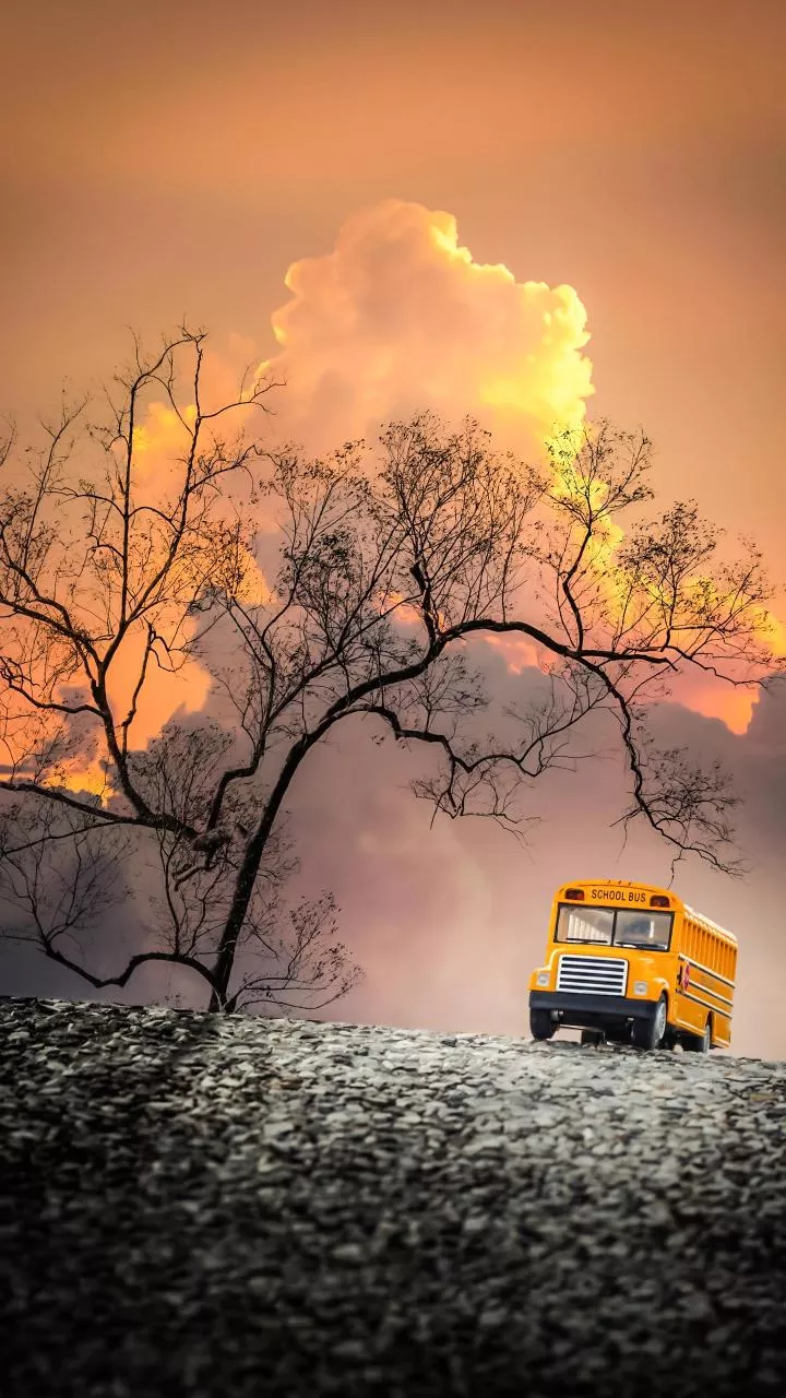 Don't Let a Scenic Road Trip Ignore a Serious Weather Warning