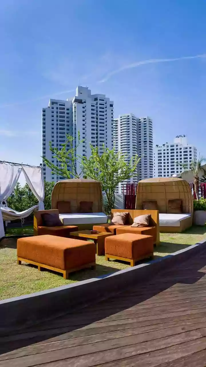 In-House Pet Amenities Are Winning Urban Families