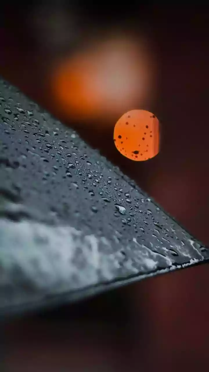 Scientists Say Urban Heat Doesn't Disappear With Monsoon Rain And Here's Why