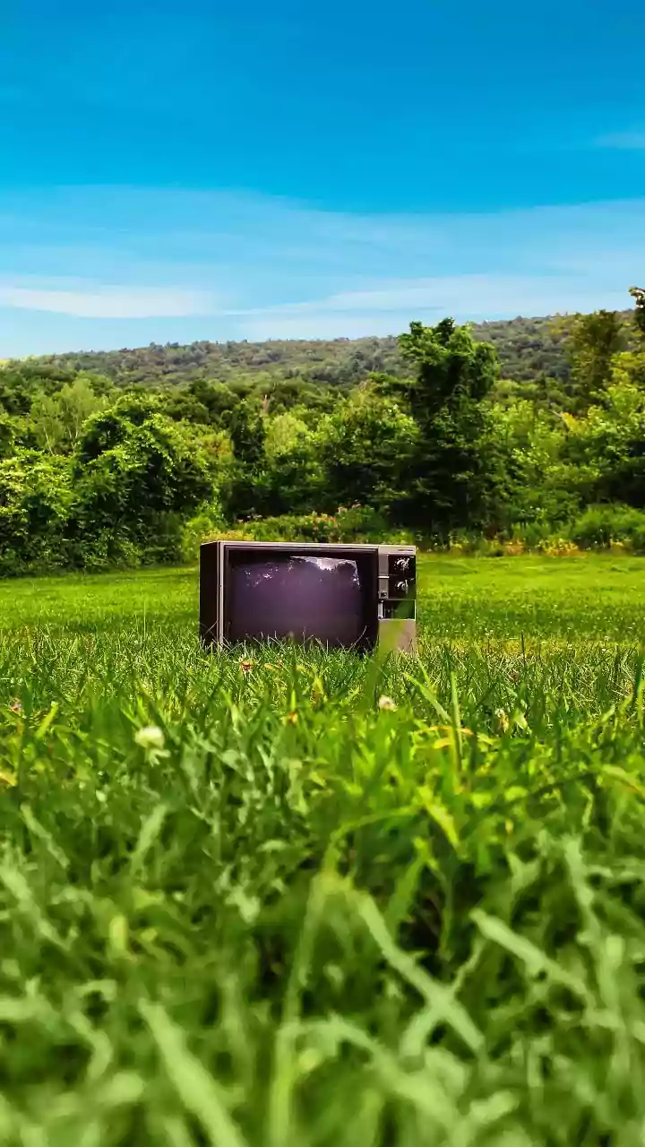 Flutrr and Saregama team up: Find your next match through music