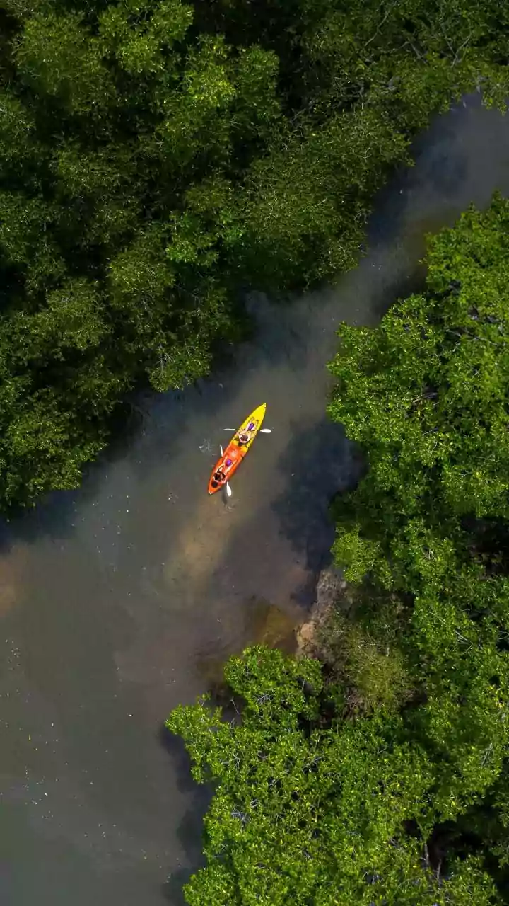Goa Statehood Day 2026: Beyond beaches, explore this state’s islands, inland villages and rivers