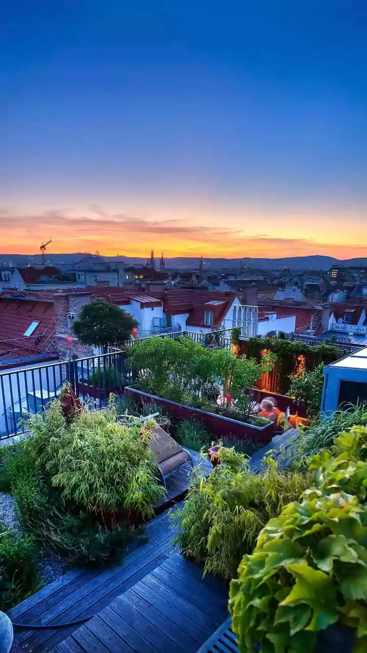 How Terrace Garden Consultancies Turned Into Million Dollar Ventures
