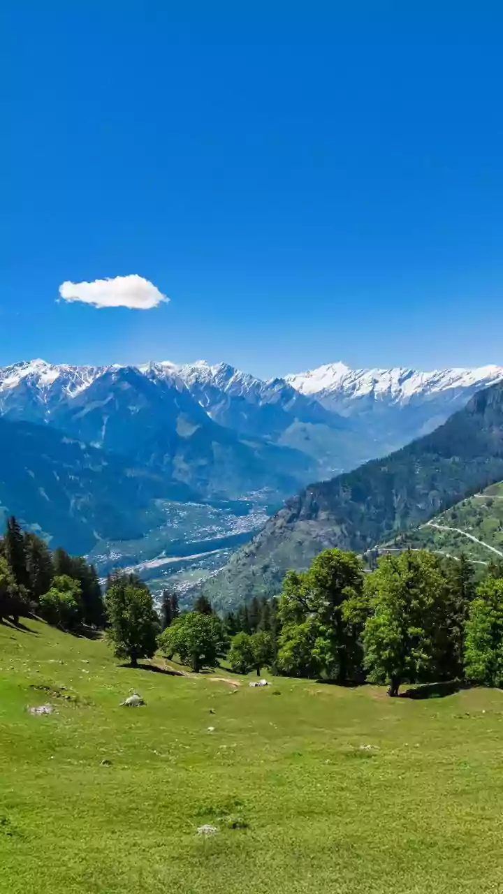 Mystery Balloon With 'Pakistani' Markings Found In Himachal Village, Probe Underway