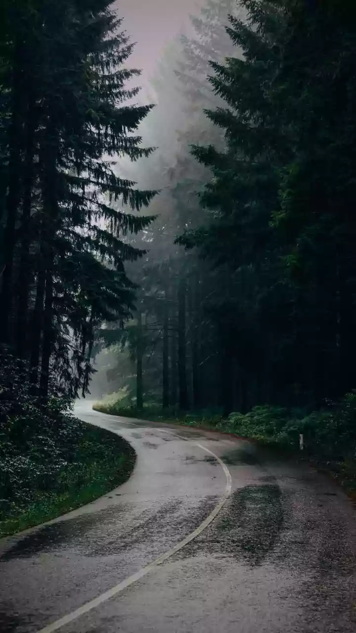 Monsoon Highway Hacks Every Driver Should Know