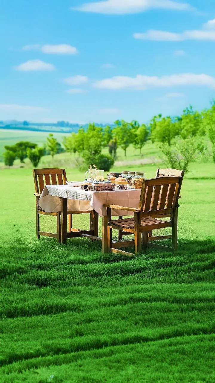 Turn a Garden into a Comfortable Tea Party Setting for Birthdays or Friend Gatherings