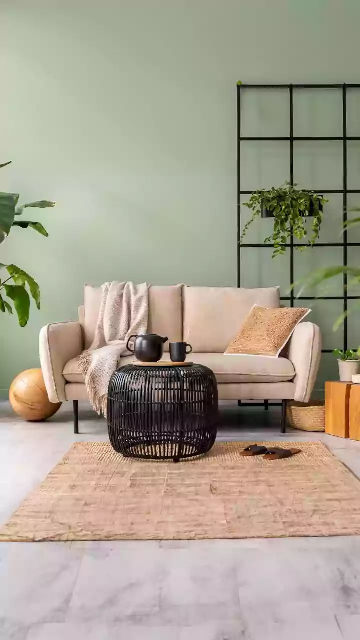 Navigating Energy: Objects That Can Disrupt Your Chi