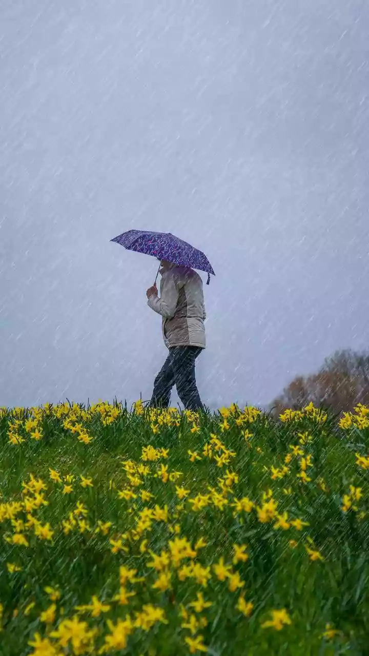 From Flash Flood Risks to Delays: Planning Travel During Heavy Rainfall