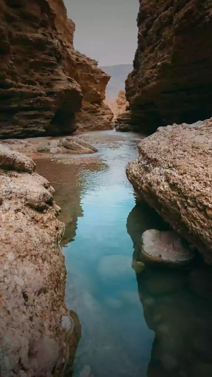 Karoo region of South Africa: A hidden gem to explore