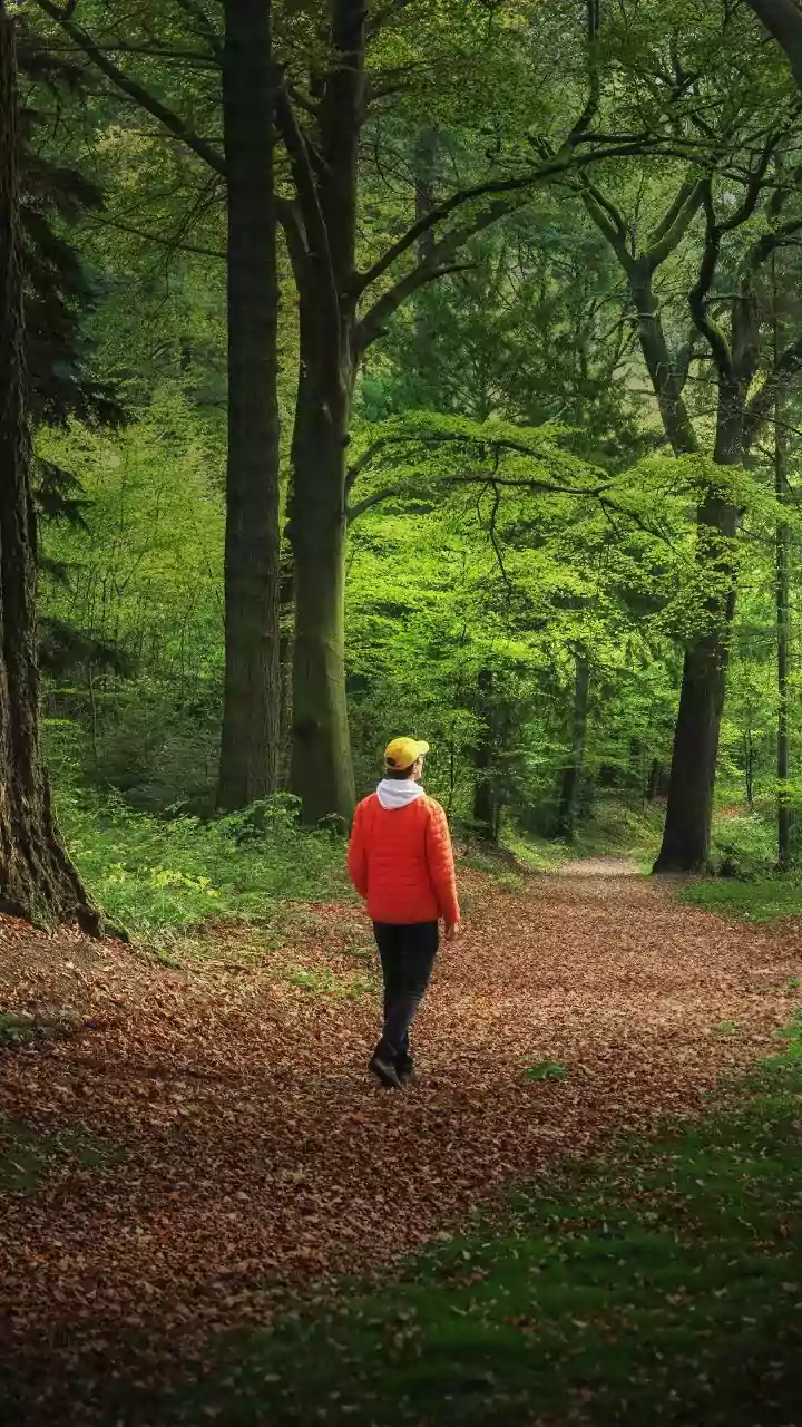 Why Short Walking Breaks Can Fit Into Busy Schedules