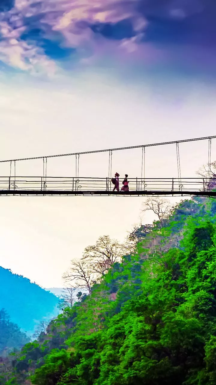 Rishikesh protests erupt over Supreme Court-ordered forest land survey