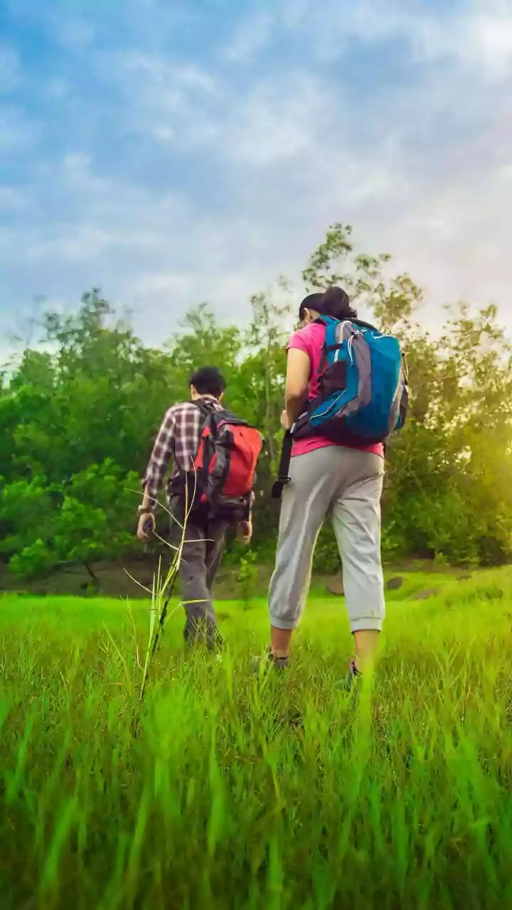 Maharashtra Couple Sheds 7 Kg Each in 76 Days: A Doctor's Proven Home-Cooked Success Story