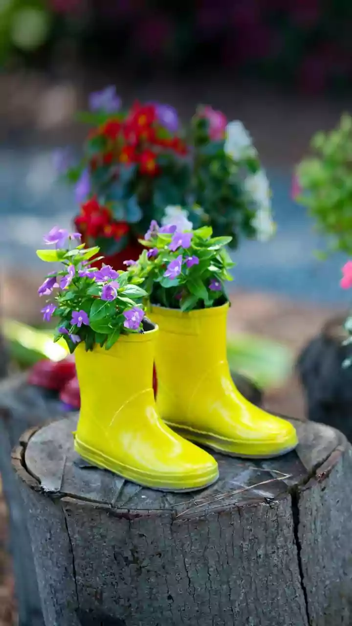 This Gardening Idea Feels Cute And Unexpected