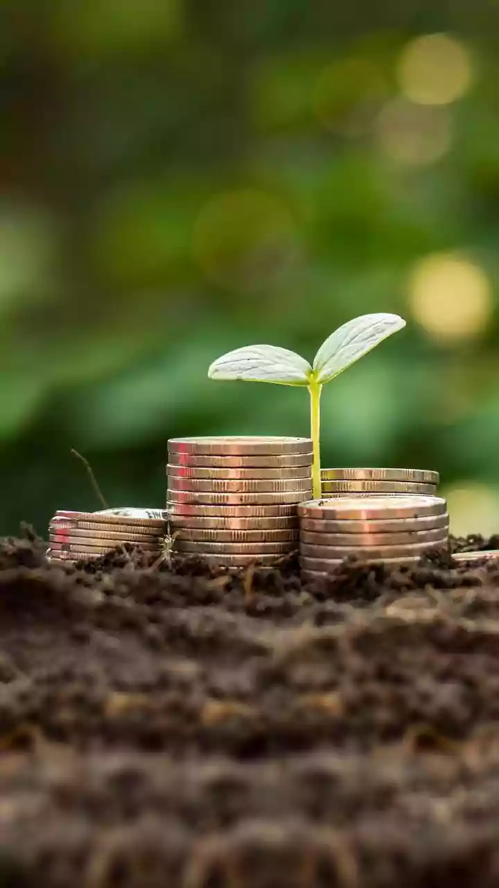 Axis To Nippon India: Top Small Cap Funds To Watch In January 2026