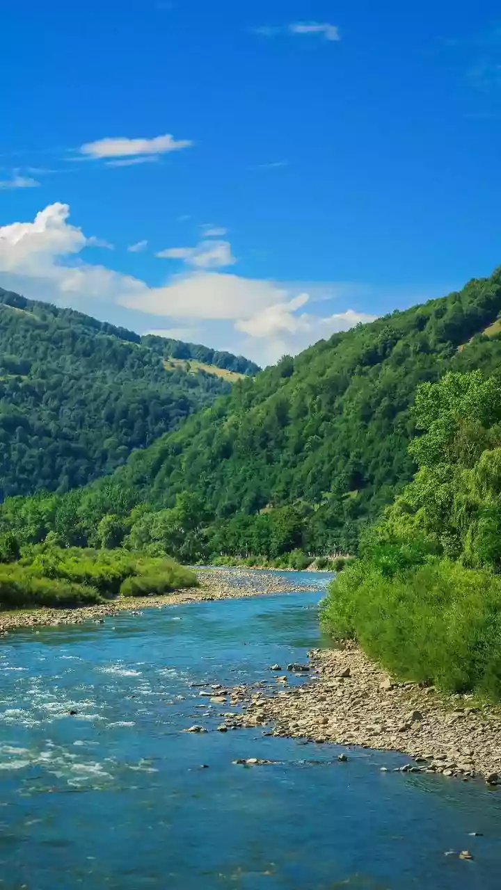 Nature Escapes In Assam Blend Wildlife, Rivers And Rainy Landscapes