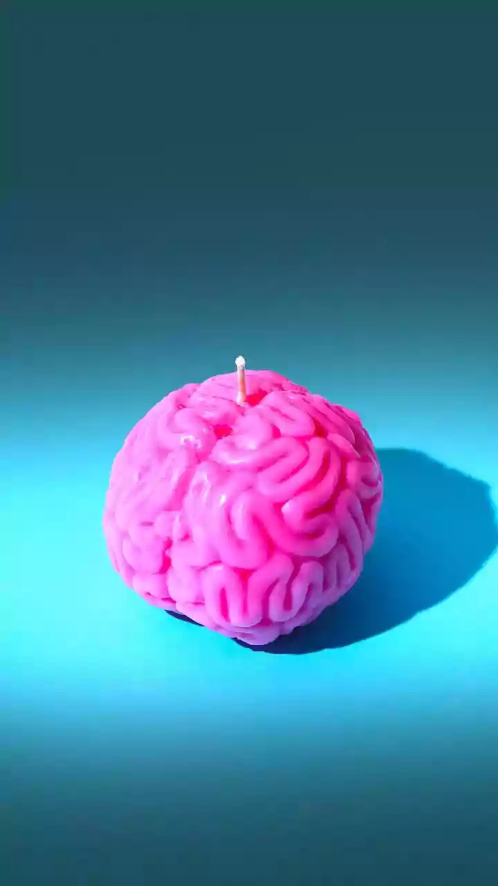 Human brain goes through 5 life stages, says new study