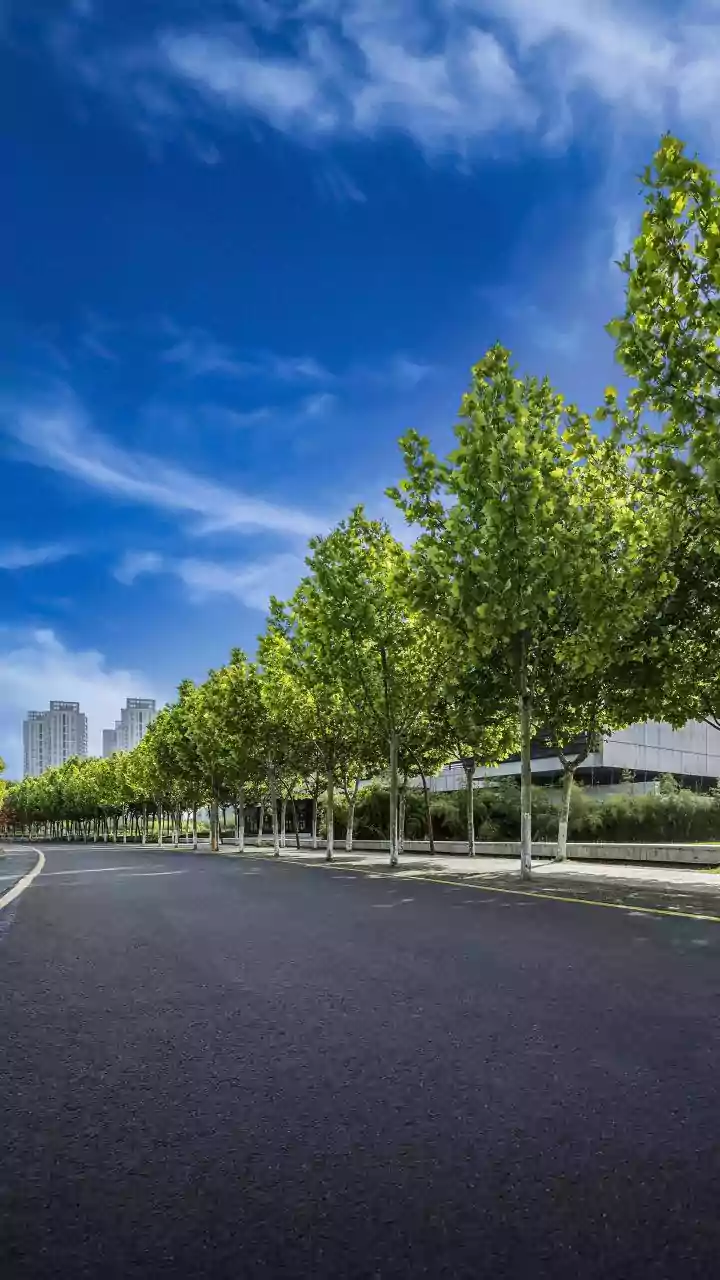 The Benefits of Urban Greenery Extend From Environment to Everyday Wellbeing