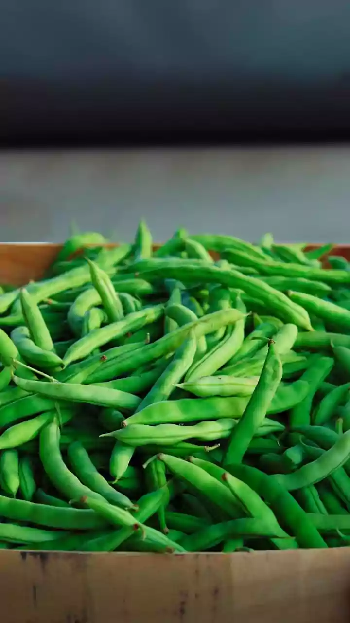 A Bean Bonanza: India's Incredible Green Bean Varieties