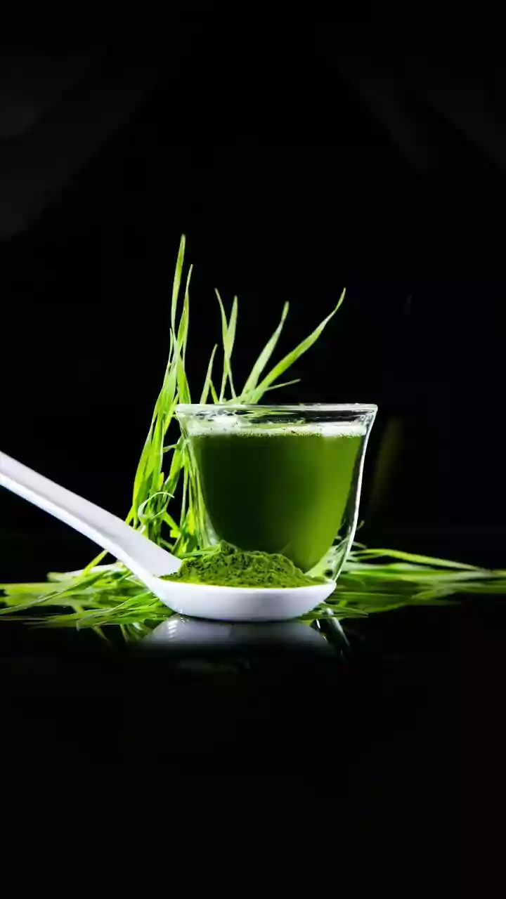Why teff greens deserve a spot in your diet
