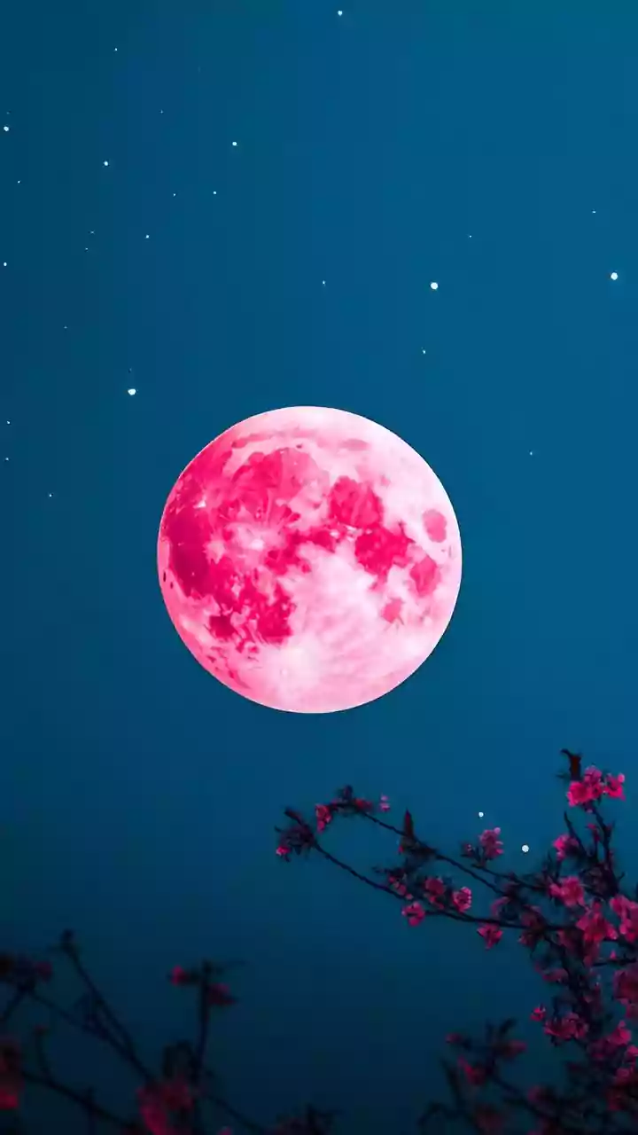 Daily Horoscope February 13, 2026: Predictions And Lucky Colours For All Zodiac Signs