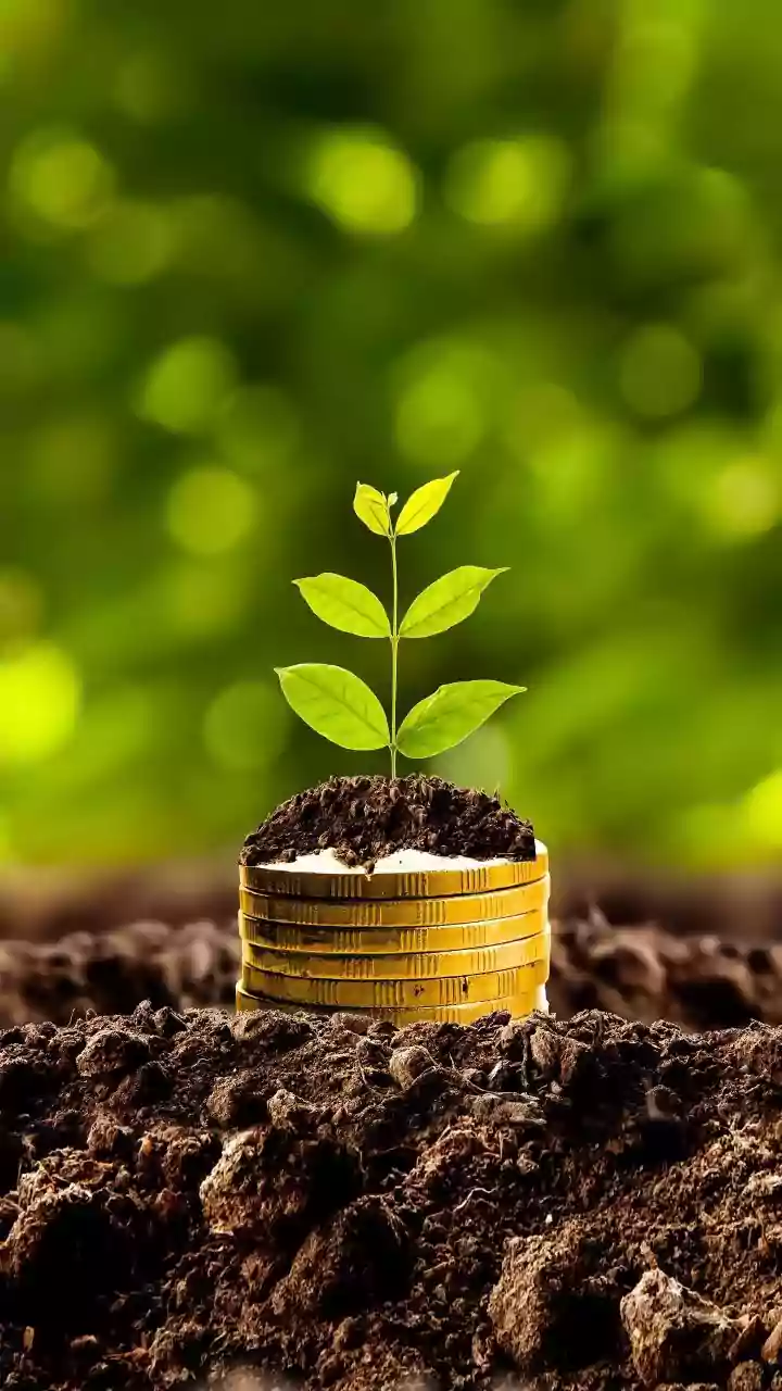 Arya.ag H1 profit jumps 43 pc to Rs 23 cr on lending growth