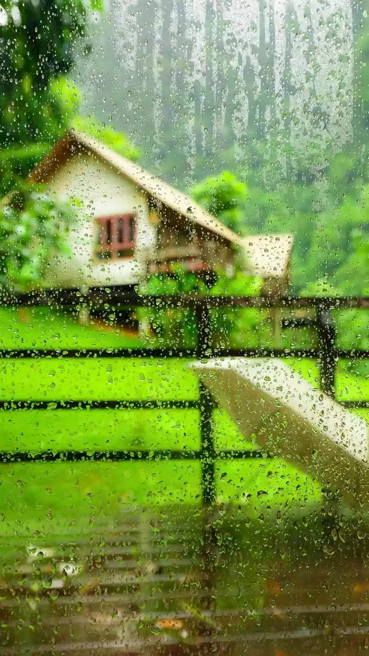 Monsoon Growth Needs Structure, Not Just Encouragement