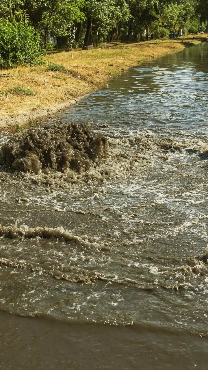 Noida techie drowns in pit after screaming for help