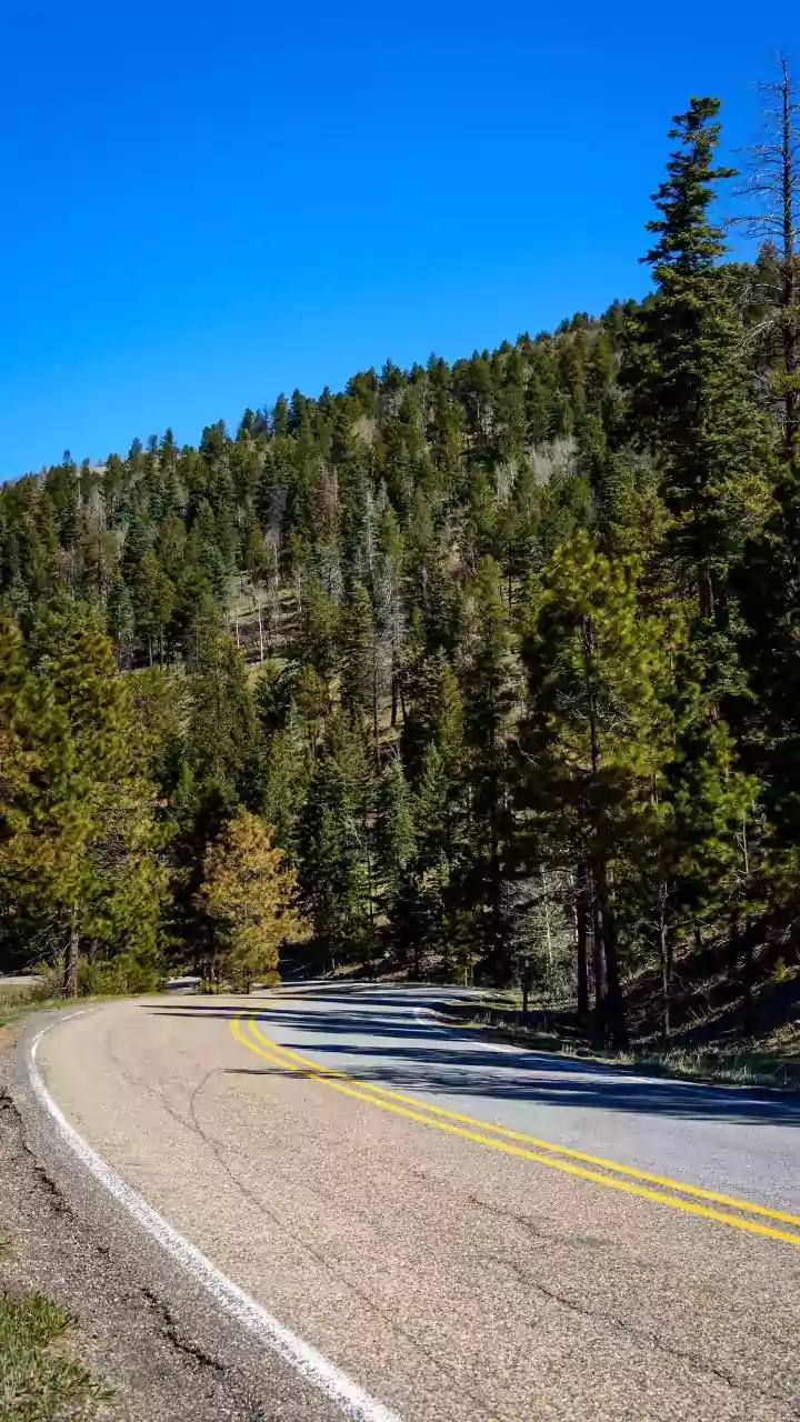 Sky Island Scenic Byway: A 27-Mile Journey Through 5 Climate Zones Above Tucson