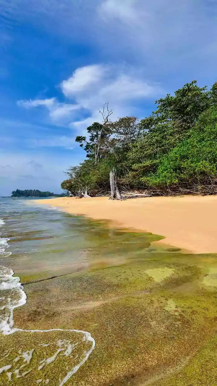 Why The Andaman Islands Stand As India's Top Choice For Exotic Tropical Beach Vacations