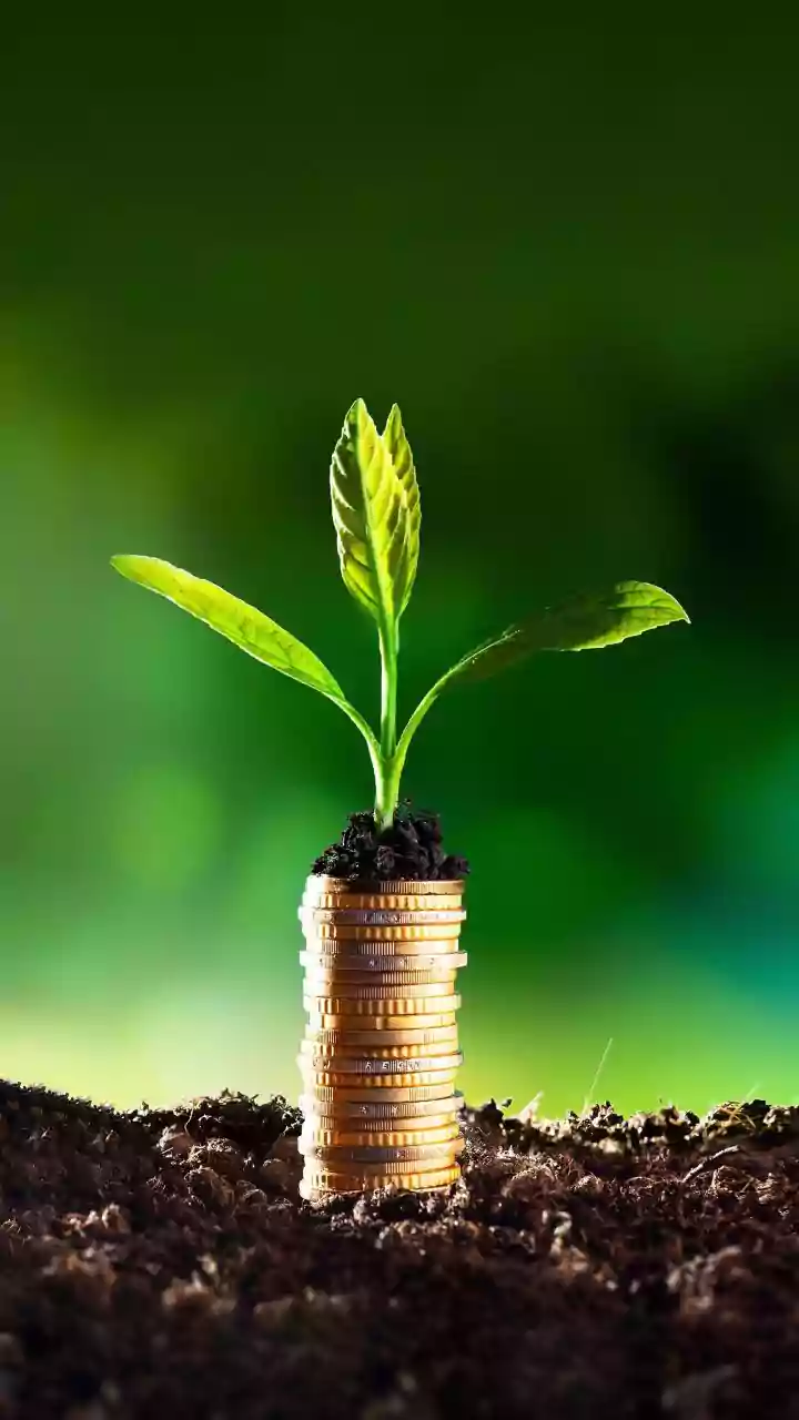 Apar Industries’ Q2 Profit Slips 4 Per Cent QoQ To ₹251.7 Crore Despite 12 Pc Revenue Jump