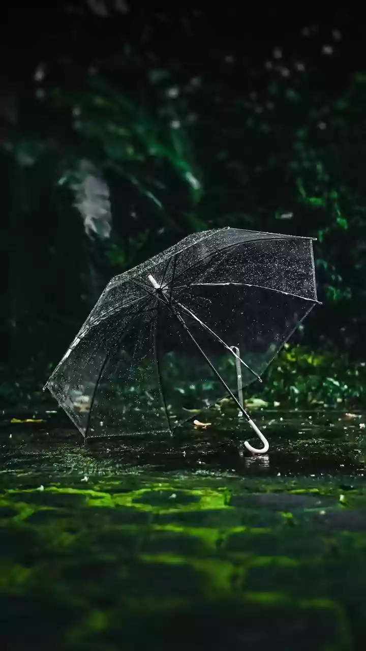 Medical bills, damp repairs, food spikes—cut the top 3 costs of the rainy season smartly!