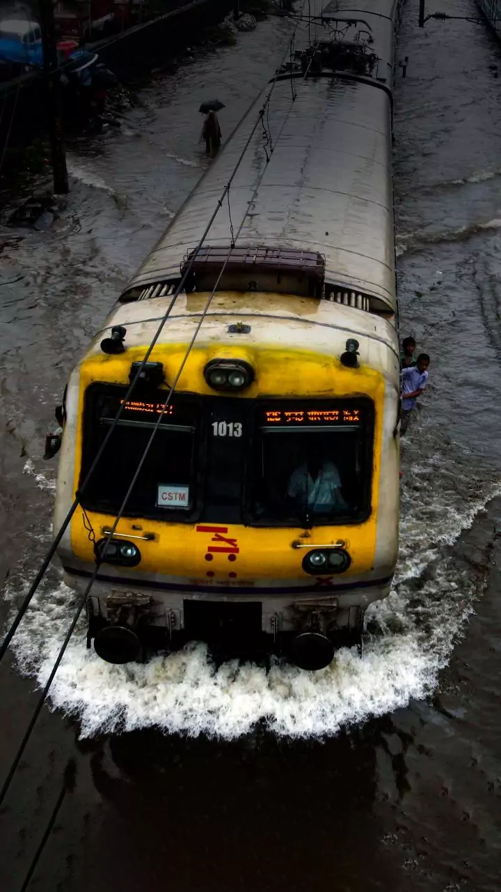 Mumbai's Monsoon Tree Falls Highlight Urban Planning Issues