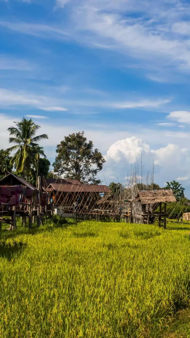 Eviction drive in Assam's Nagaon, about 100 families displaced