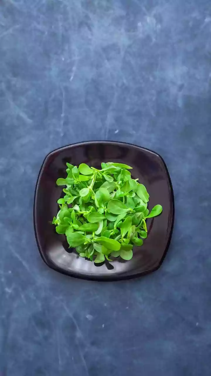 Micro-Green Windowsill Setups Offer Continuous Supplies Of Fresh Herbal Greens For Modern City Diners