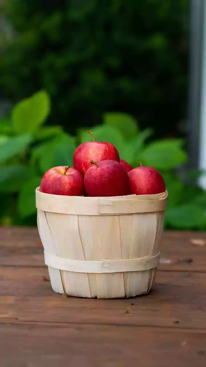 Modern Cold-Storage Infrastructure Protects Kashmir Apple Harvest From Heavy Post-Harvest Loss