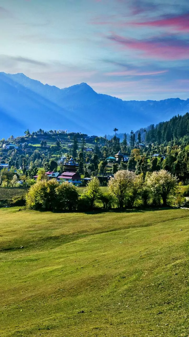 PDP nominee leads in Budgam bypoll, NC candidate trailing