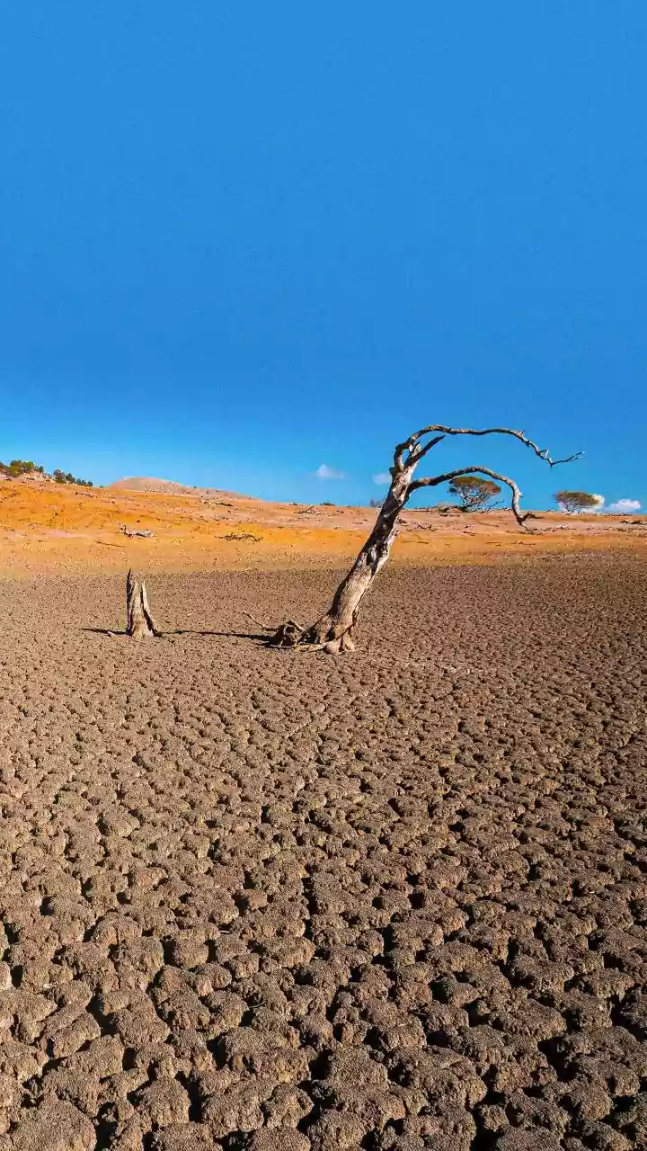 Historical El Niño of 1877-78 caused famine and extreme weather in India